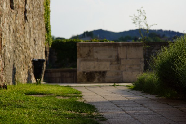 carl-zeiss-jena-cardinar-100mm-f4-werra-sony-nex7-331903DF9D-F591-BDEF-55A4-6D1F1B70EA2D.jpg